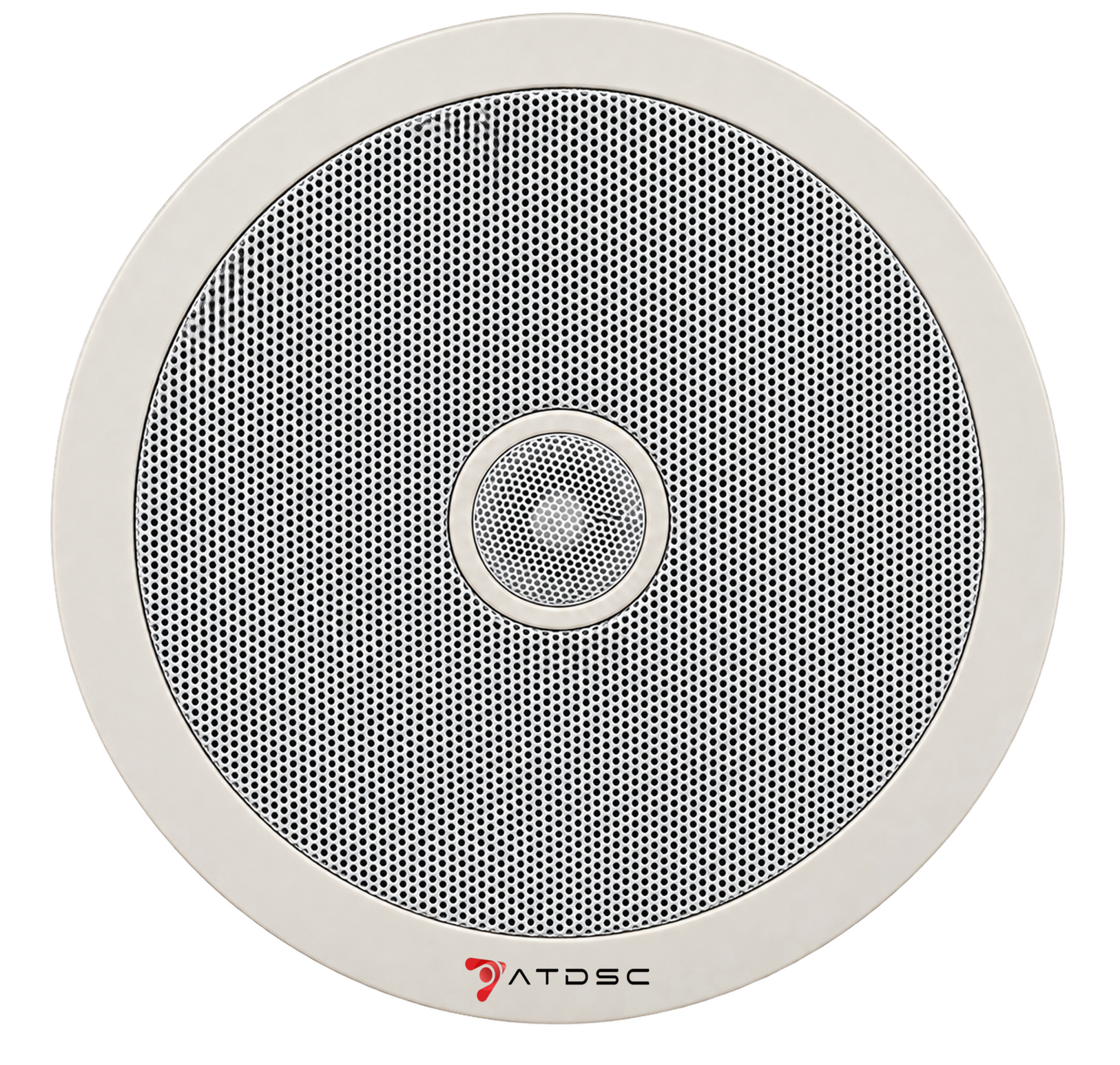 Ceiling Speaker